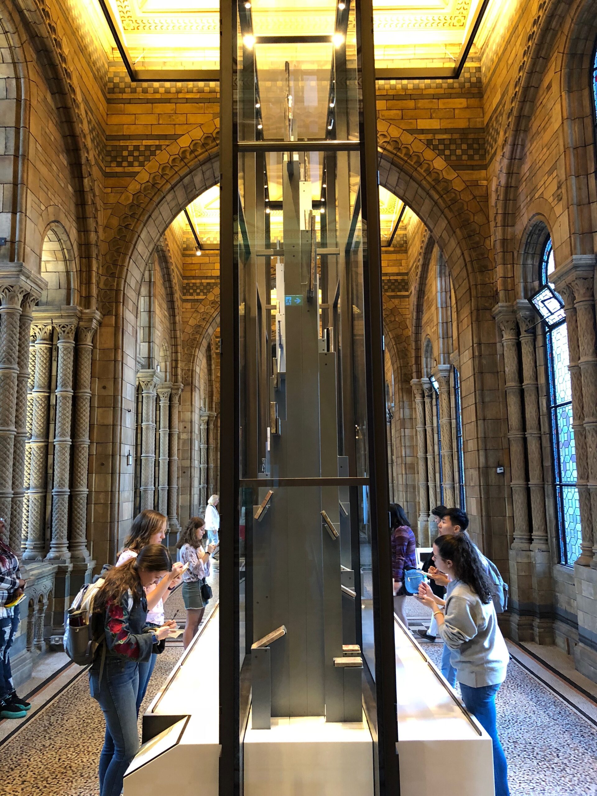 Students examine the exhibits at the Natural History Museum in London, UK.