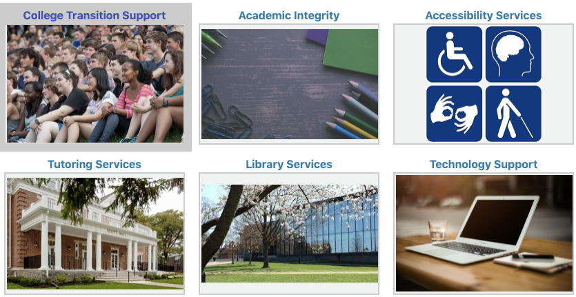 New for Spring 2022! Student Academic Resources Site · CITLS