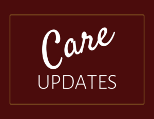 Logo with text "Care Updates"